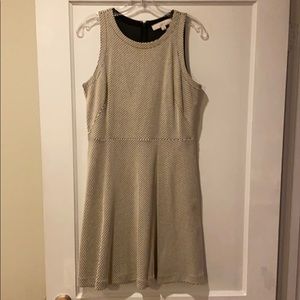 Black/White Knee Length Dress